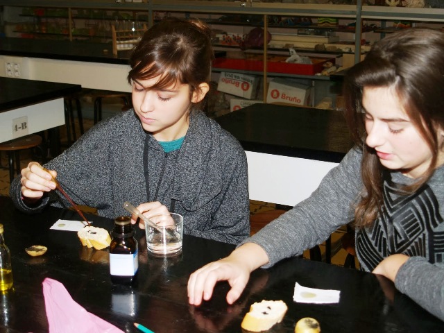 Prácticas biología